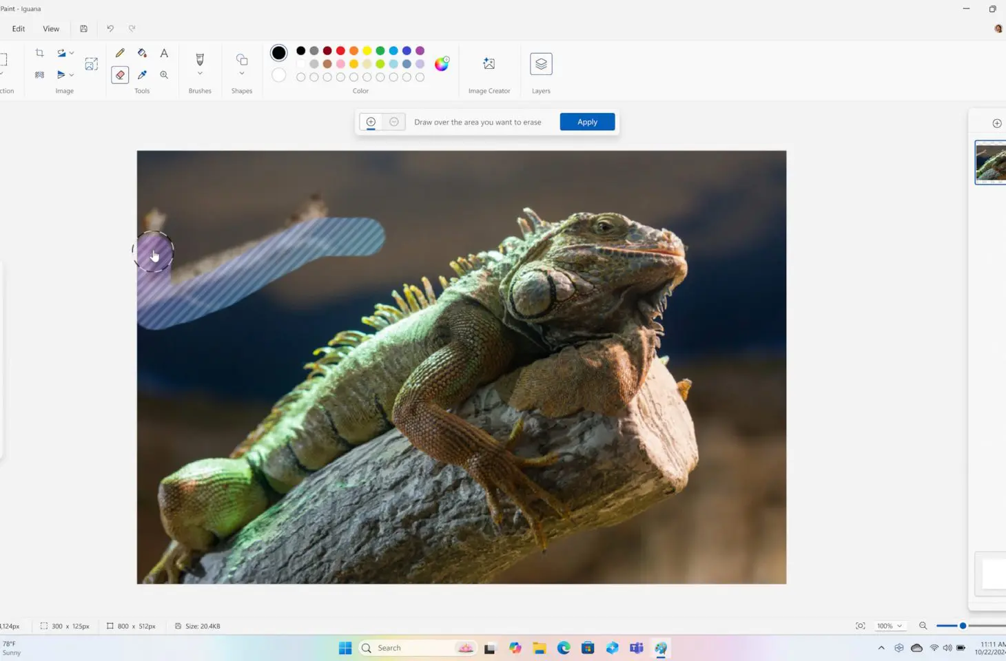 Microsoft Paint krijgt genAI-functionaliteiten dankzij een Copilot-knop