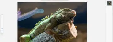 Microsoft Paint krijgt genAI-functionaliteiten dankzij een Copilot-knop