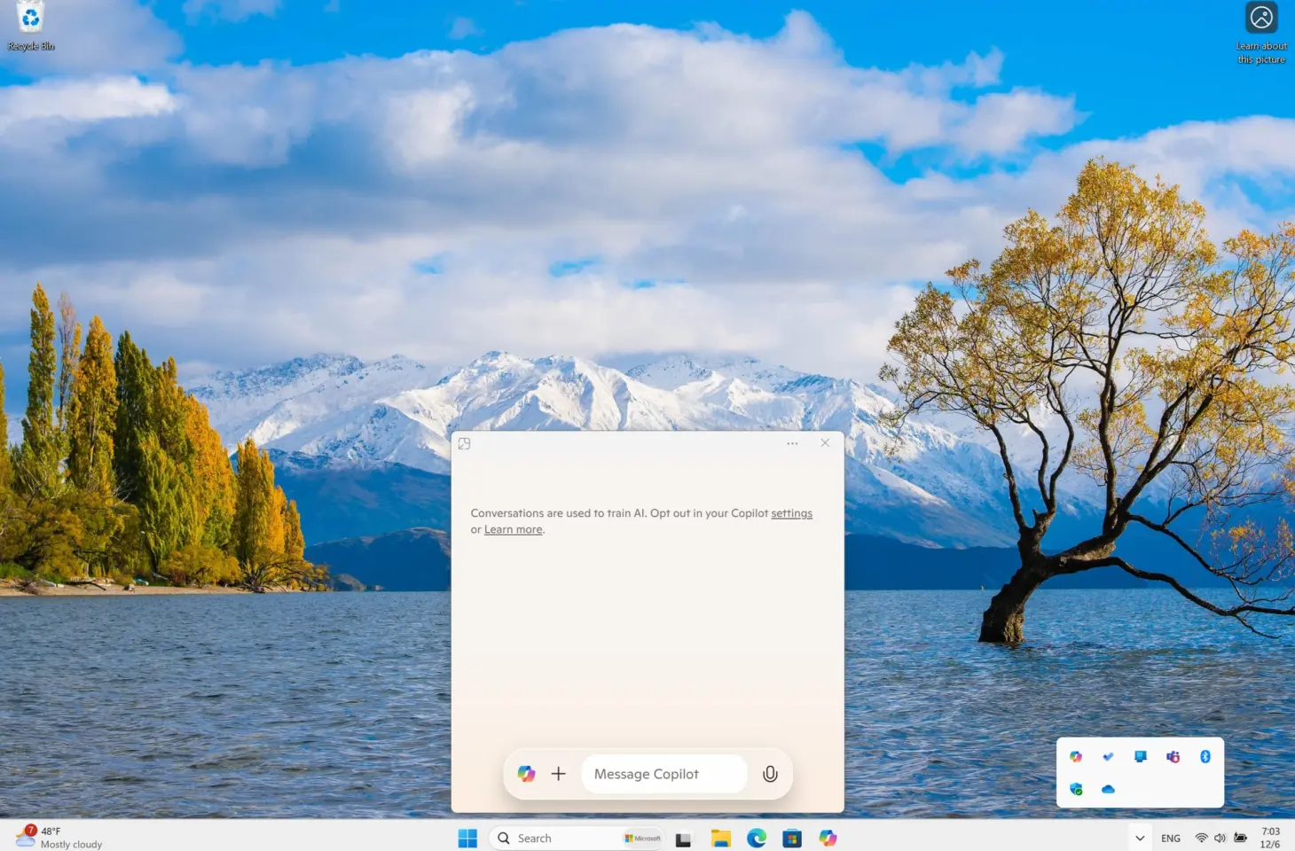 windows copilot quick view