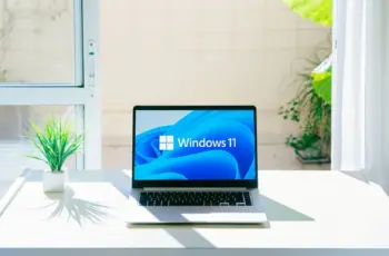 windows 11
