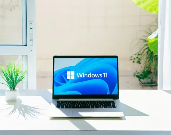 windows 11