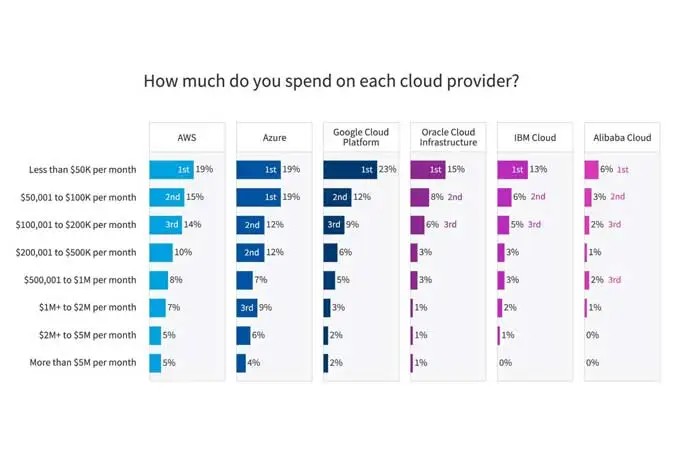 flexera state of cloud figuur 2